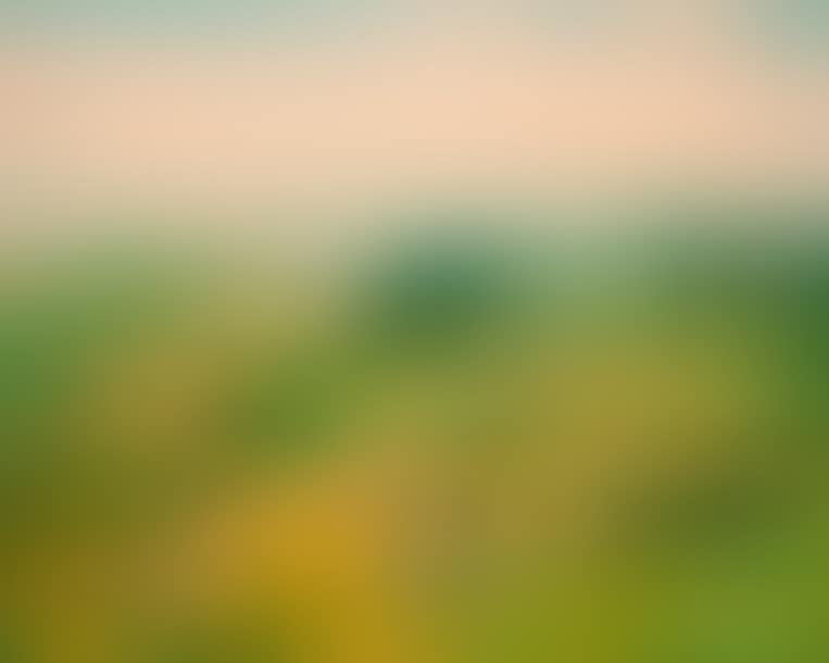 Start of autumn in San Giminiano (preview)