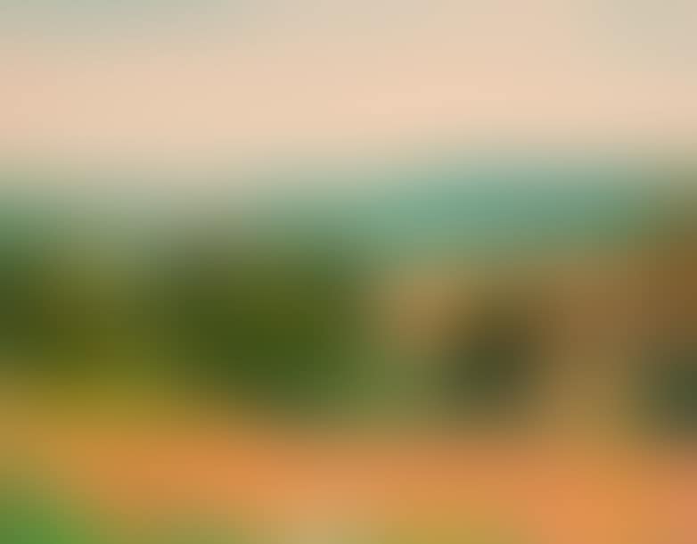 Autumn mist in the early morning (preview)