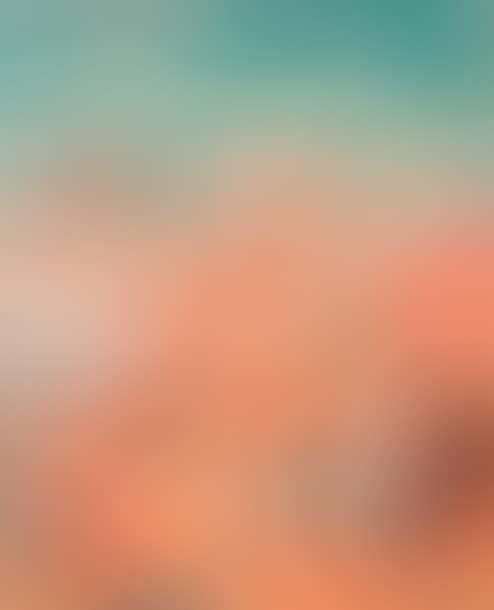The beach (preview)