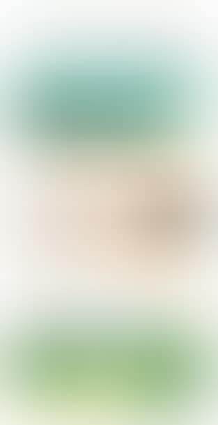 Lot of 17 landscape studies (preview)