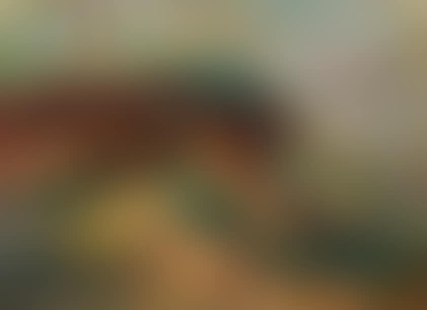 Wooded landscape (preview)