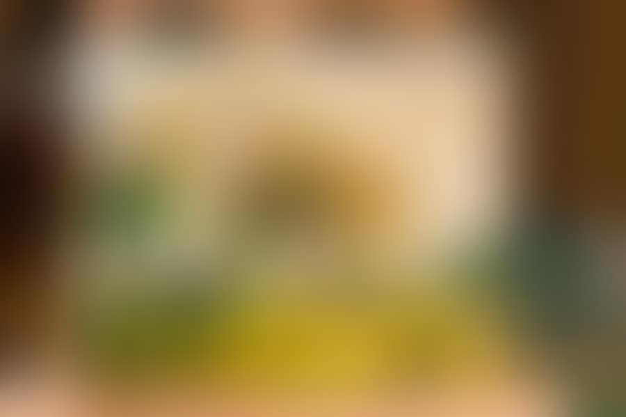 Trees in Autumn (preview)