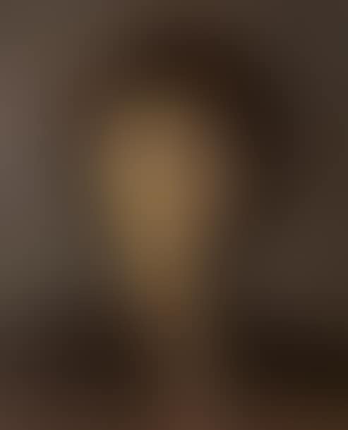 Portrait of Mme Vignoles (preview)