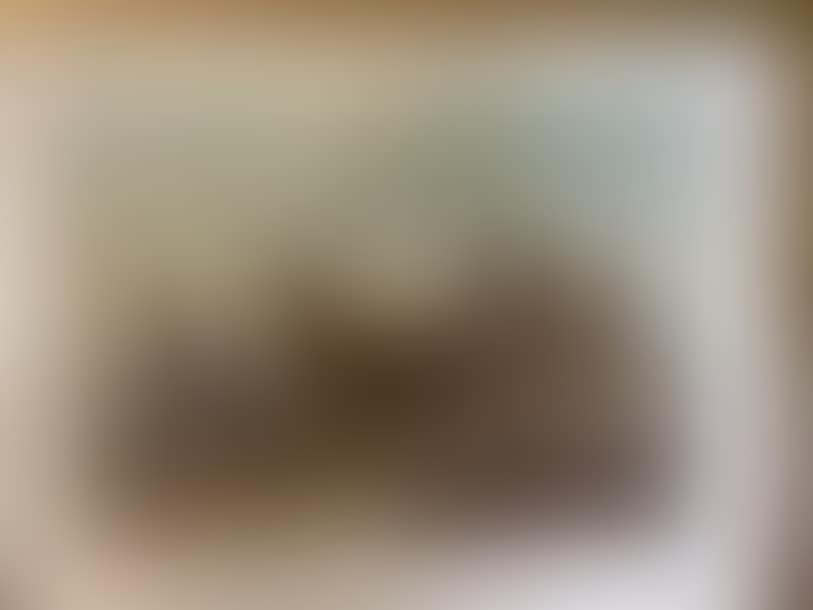 horses in carriage (preview)