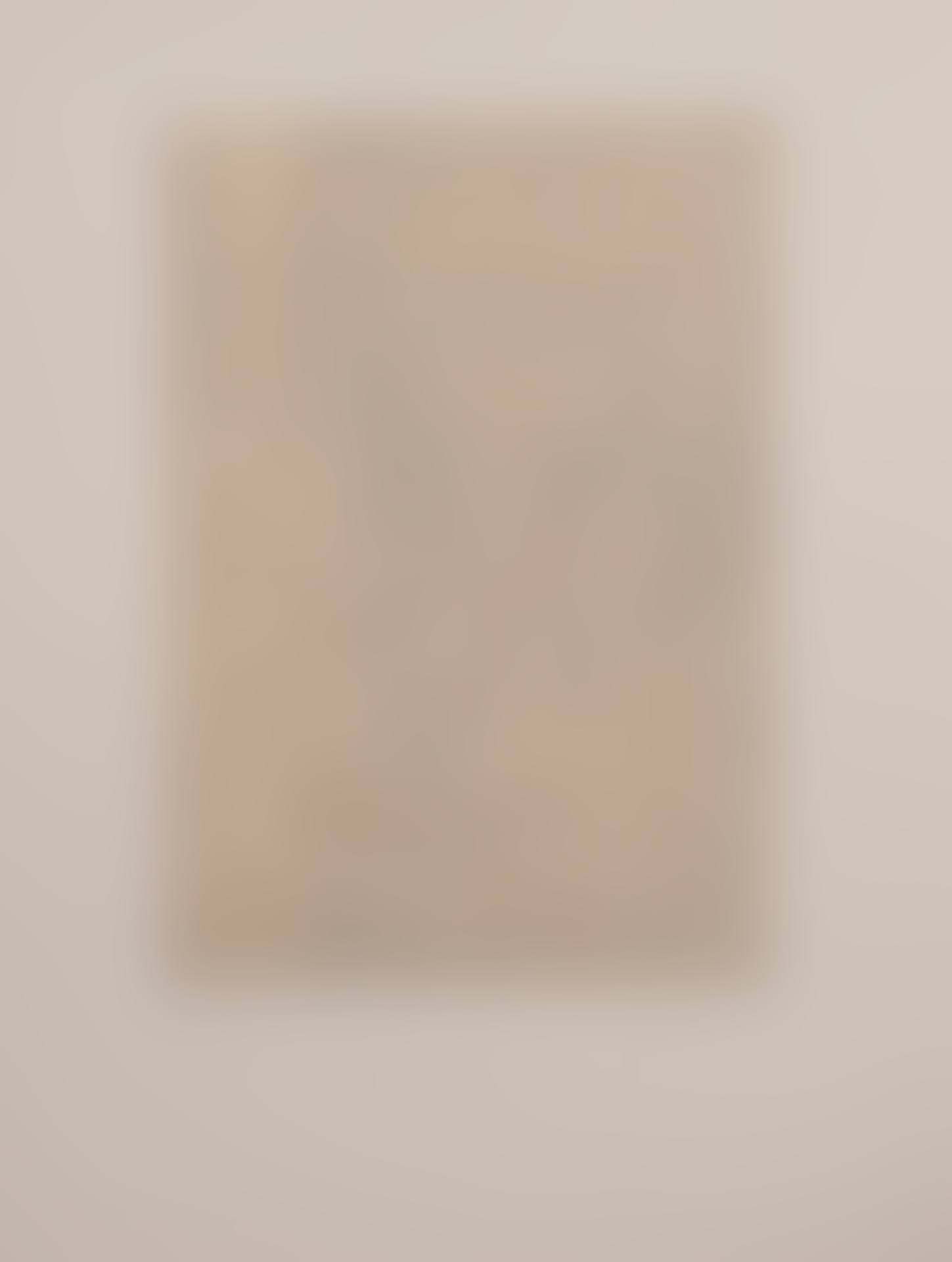 Composition in shades of beige (preview)