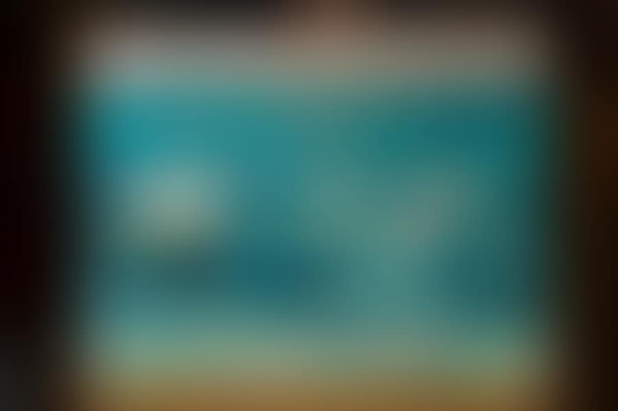 Waves against the light (preview)