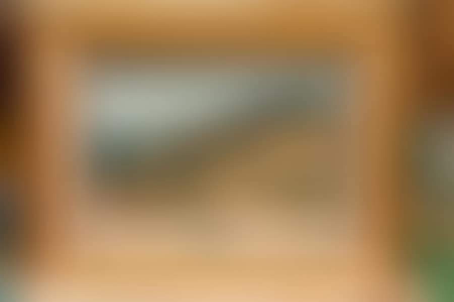 Landscape (preview)