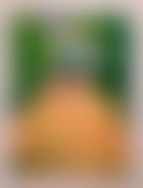 Wheat fields under a stormy sky (preview)