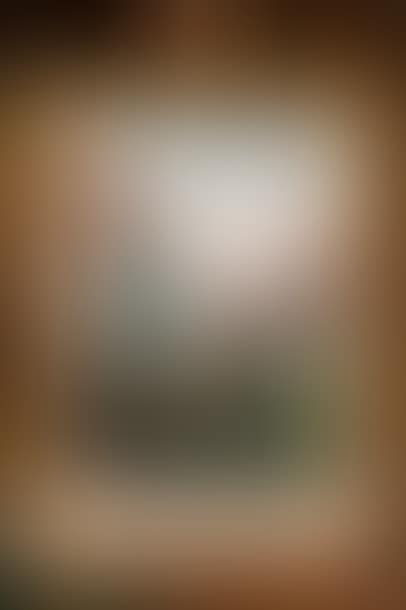 Landscape (preview)