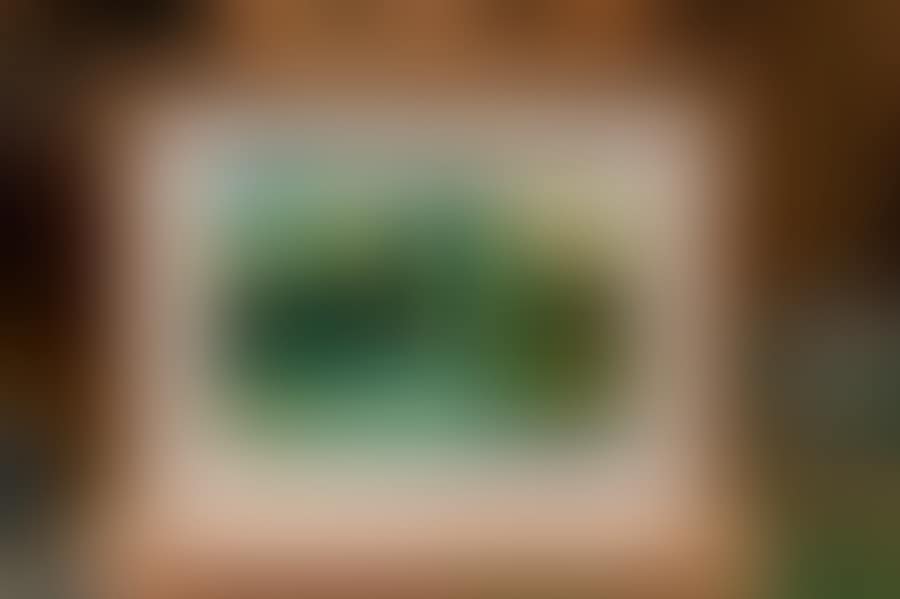 Landscape (preview)