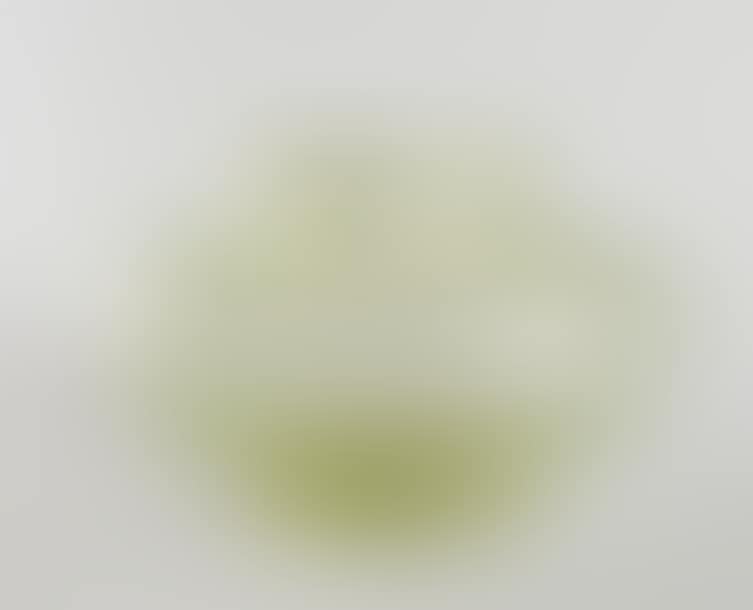 Bubble glass vase with flattened body (preview)