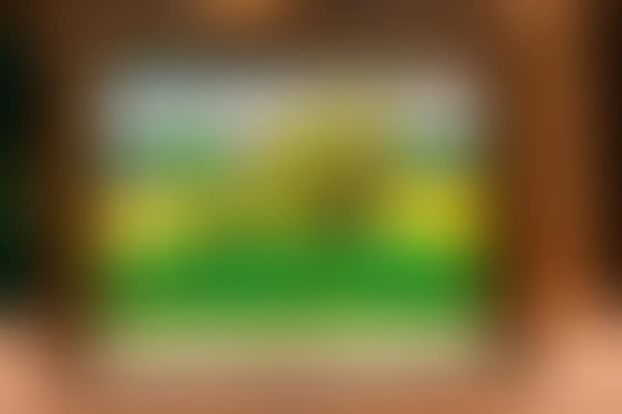The rapeseed field (preview)