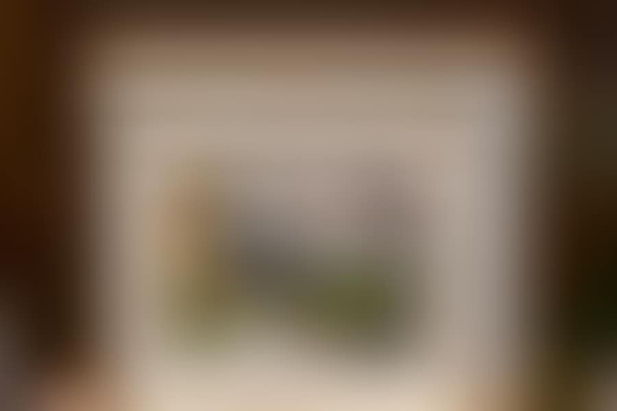 Landscapes (preview)