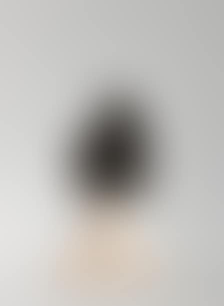 Charged portrait inspired by the “Celebrities of the Golden Mean” series (preview)