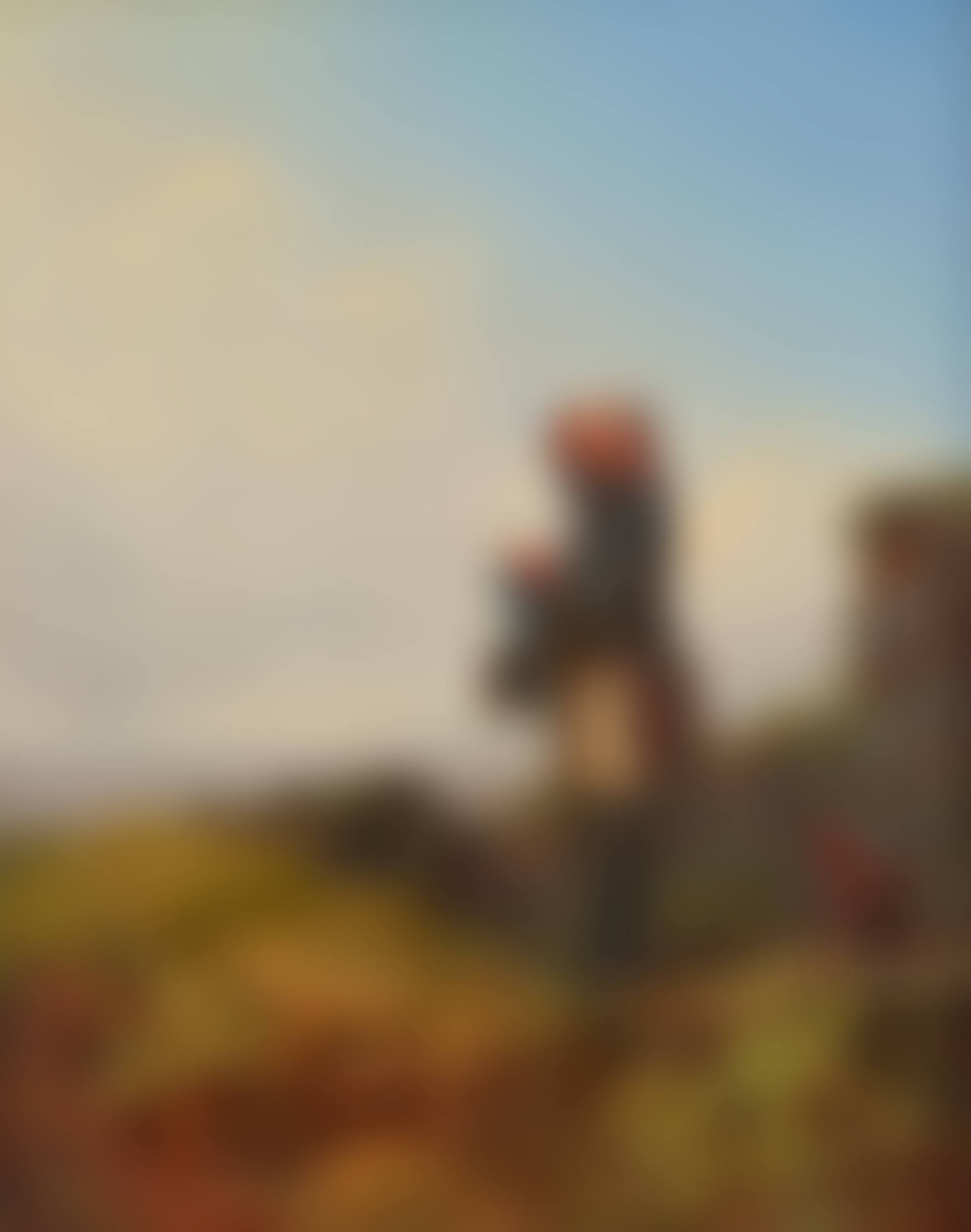 The Gunner (Sentry by a Cannon, knitting) (preview)