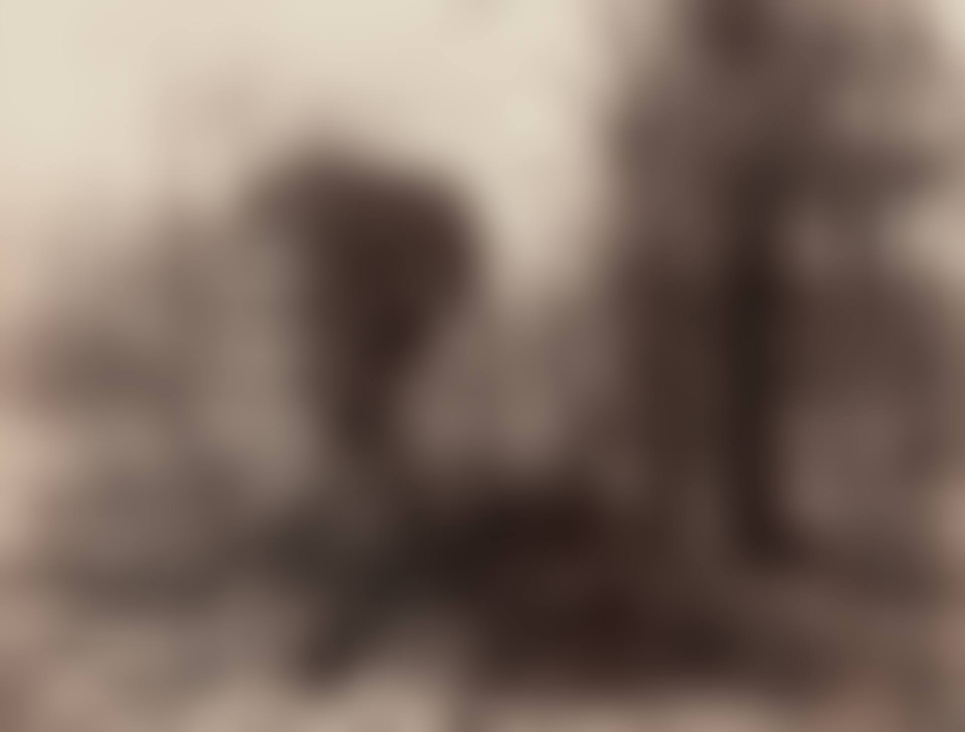 Parc de Sceaux (avril, 7 heures matin) (ivy-covered urn) (preview)