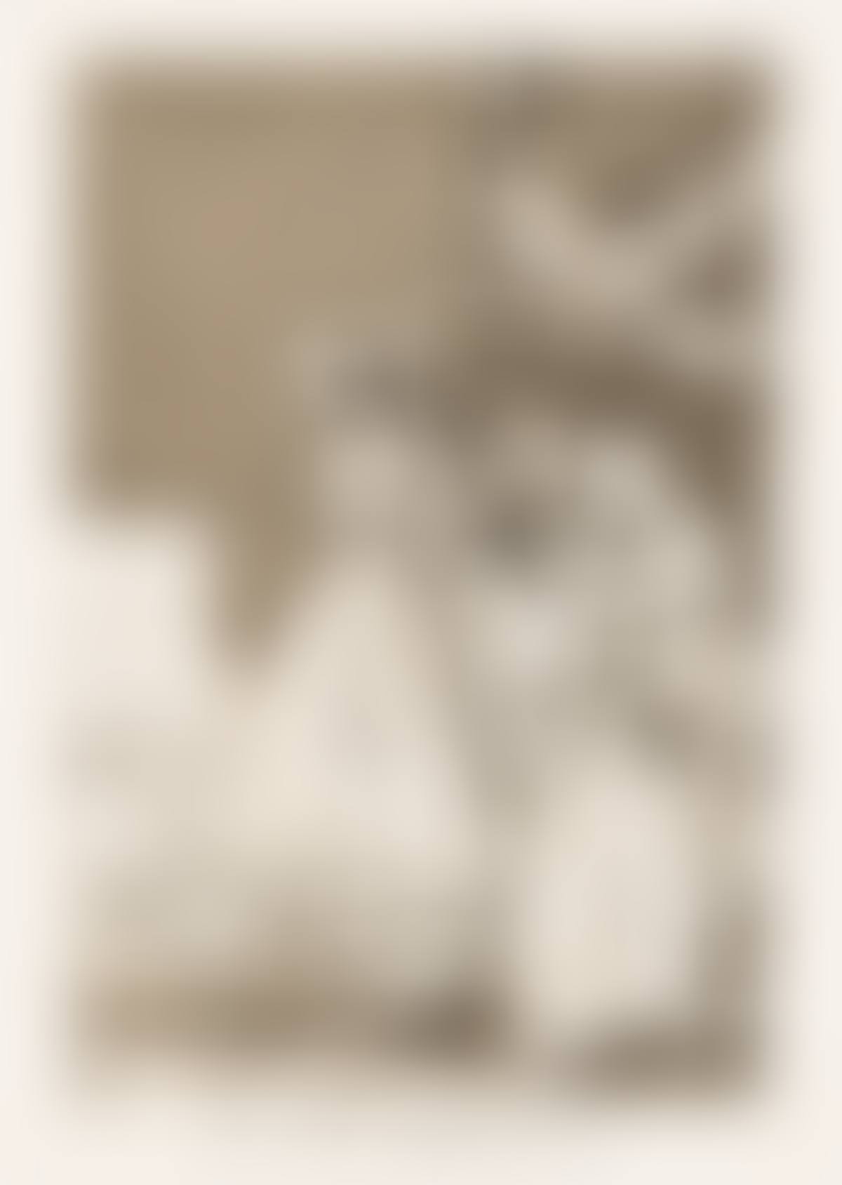 Ya van Desplumados. (preview)
