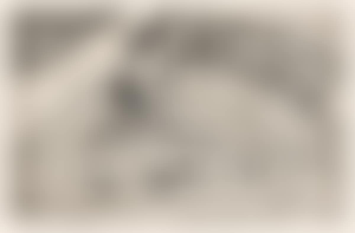 La Femme aux Figues. (preview)