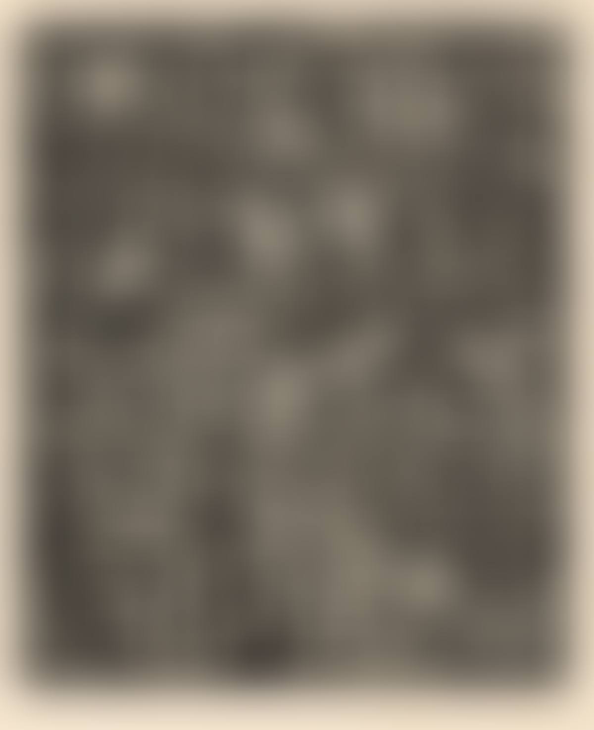 The Grape Harvest (preview)