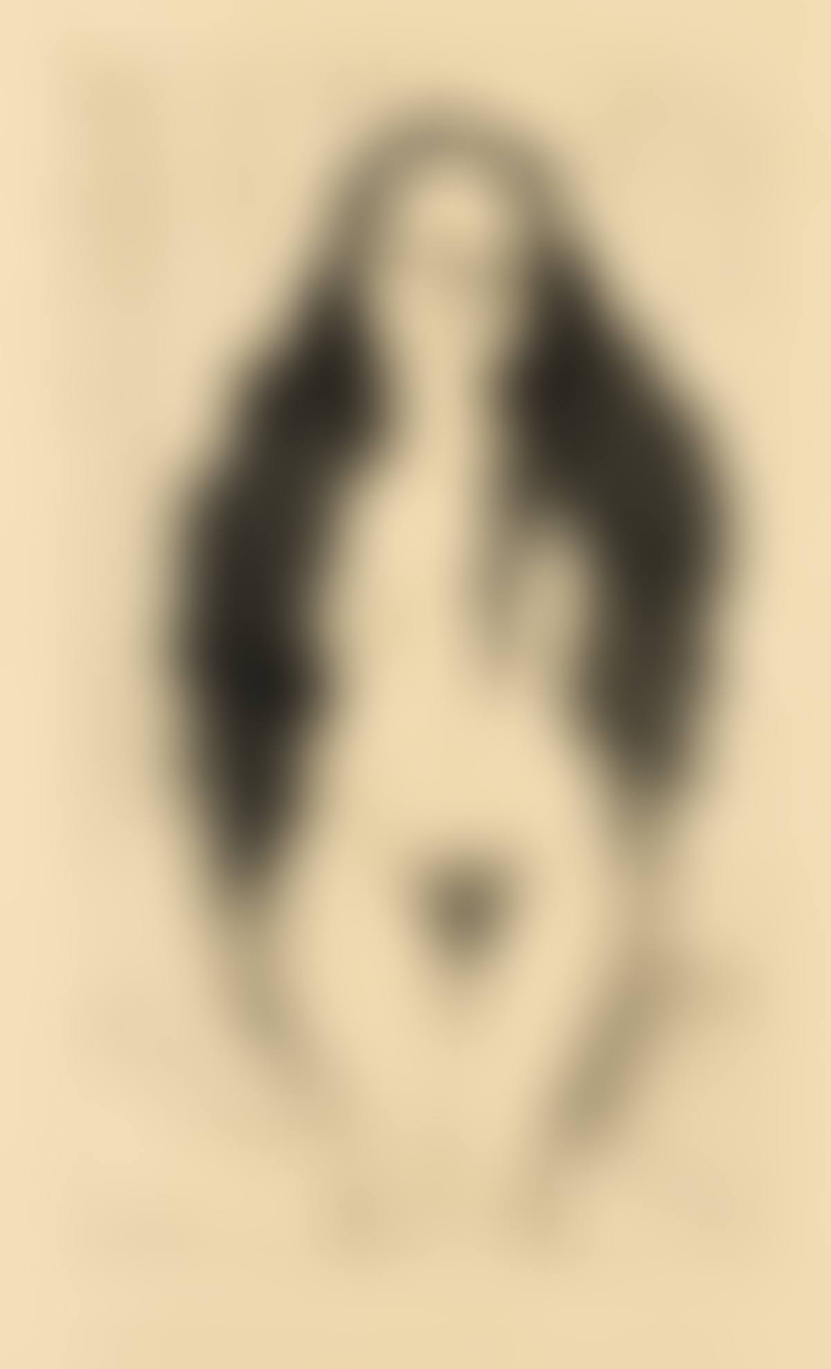 Desnudo de Dolores Olmedo. (preview)