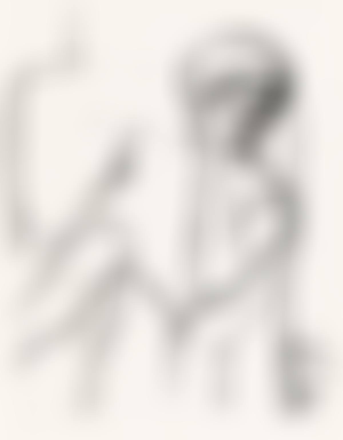 Woman Seated in an Armchair. (preview)