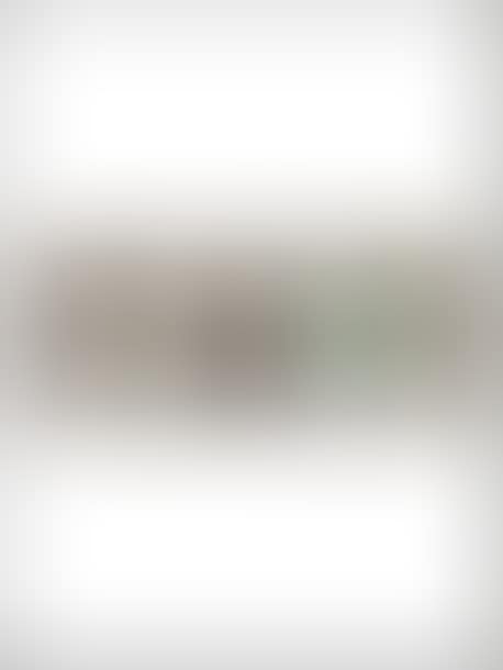 One dollar with red noise (preview)