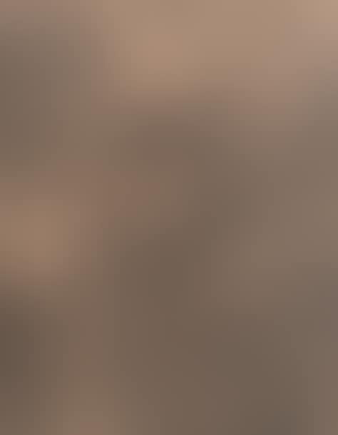 Death pursuing the herd of humans. (preview)