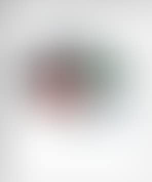 Rotoreliefs (preview)