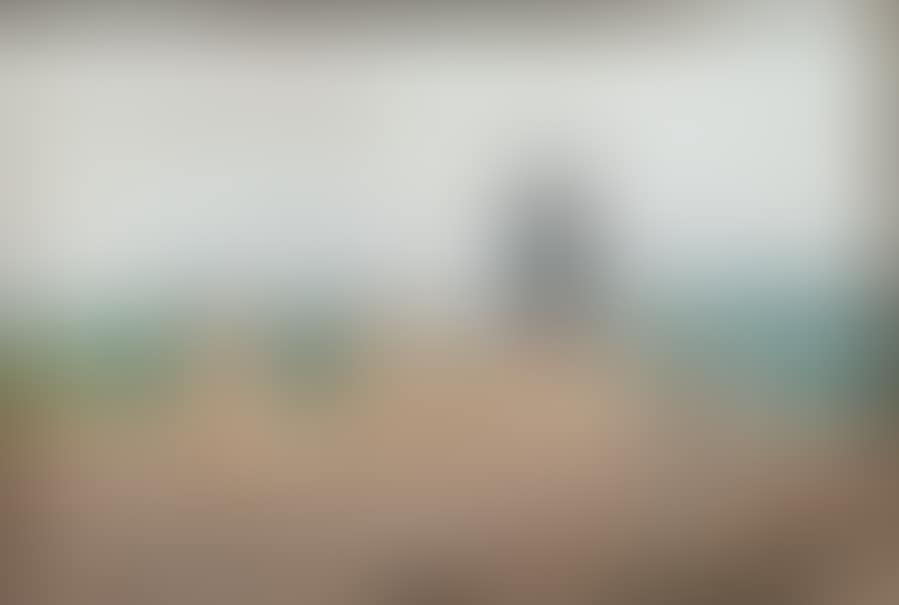 Summer landscape at the mill (preview)