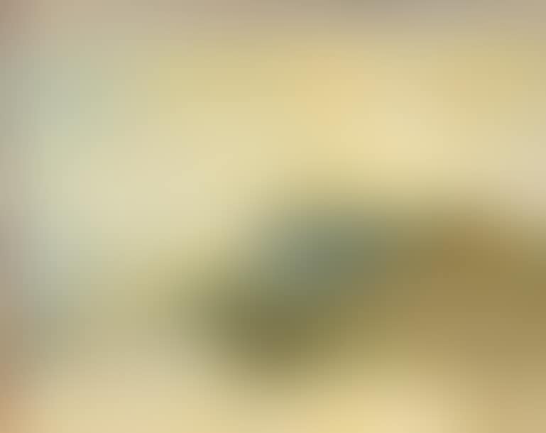 Landscape (preview)