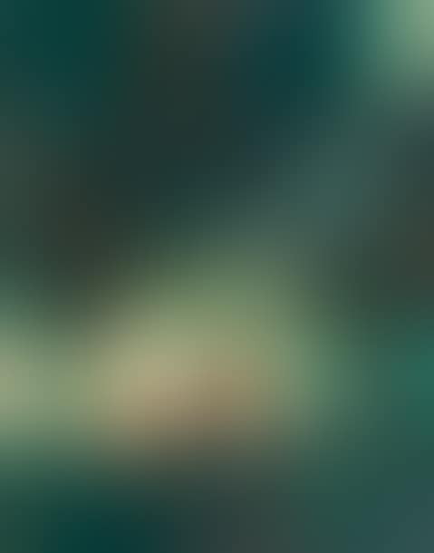 Reverie en vert (preview)