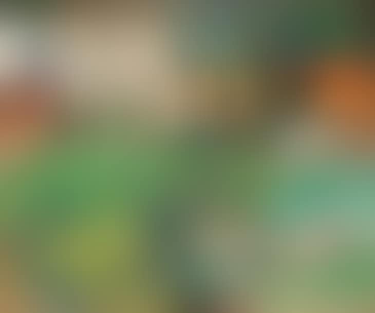 Landscape (preview)