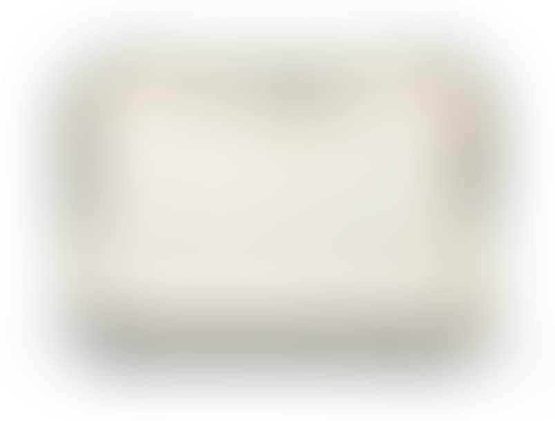 Rectangular silver TRAY (preview)