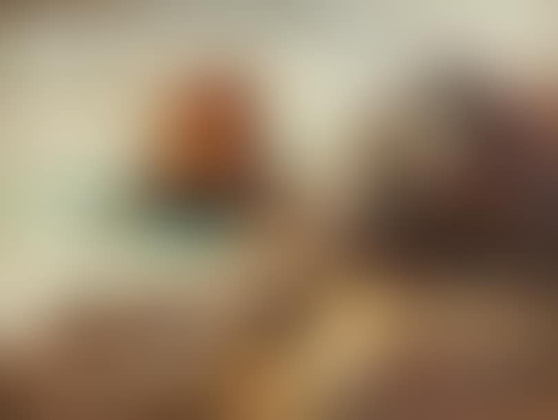 Rocky Seashore (preview)