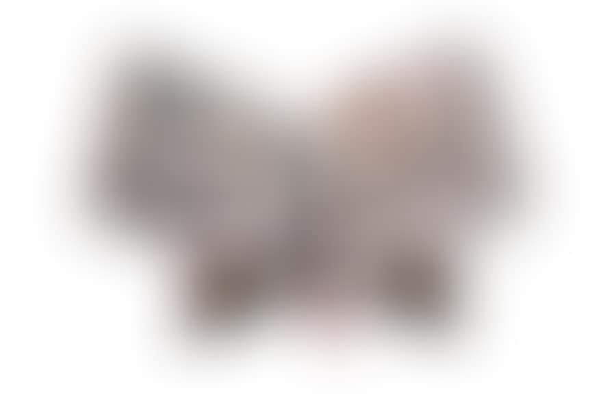 Collector de Beard Edition (preview)