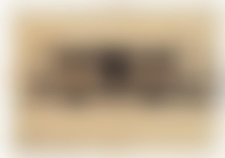Wagon (preview)