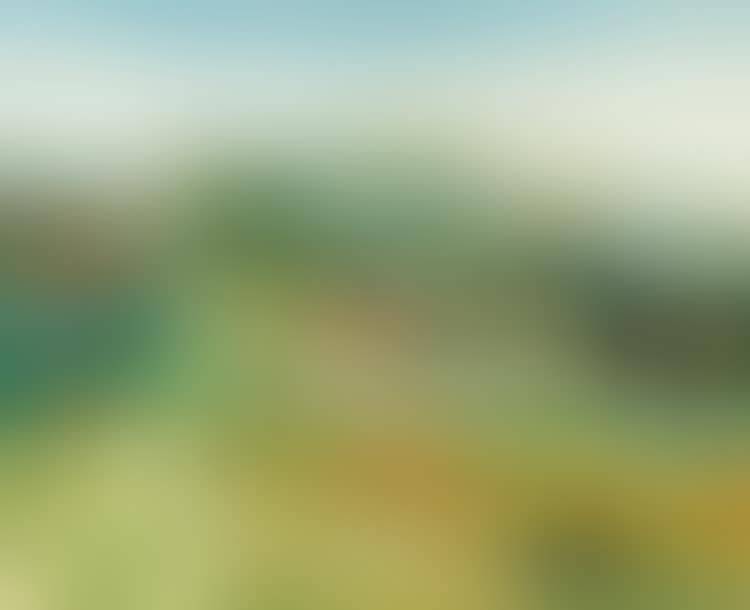 Landscape of Provence (preview)