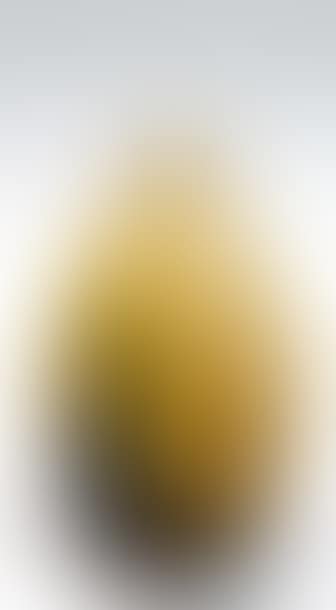 Vase « Coloquinte ». (preview)
