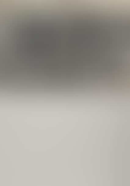 Imagine con risvolto (preview)