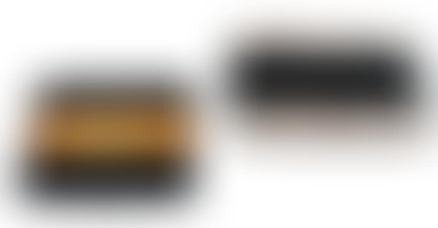 Two cigarette cases (preview)