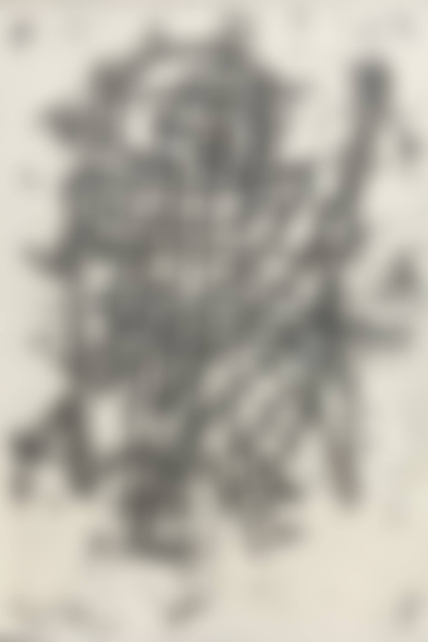 Abstract (preview)