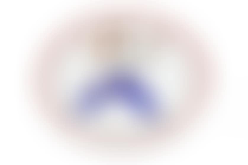 Porcelain plate with pelotari (preview)