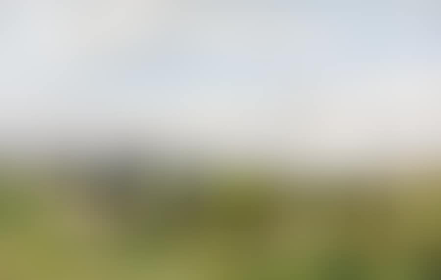 Young tedders in a landscape with barrier (preview)
