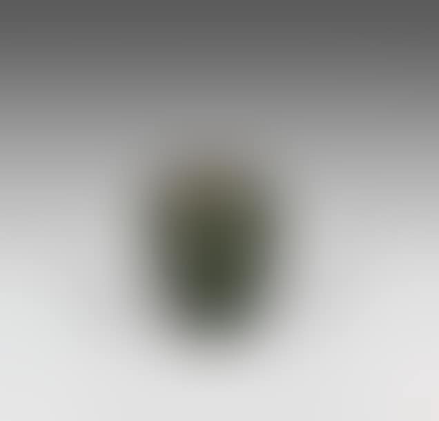 Small conical vase with swollen shoulder (preview)