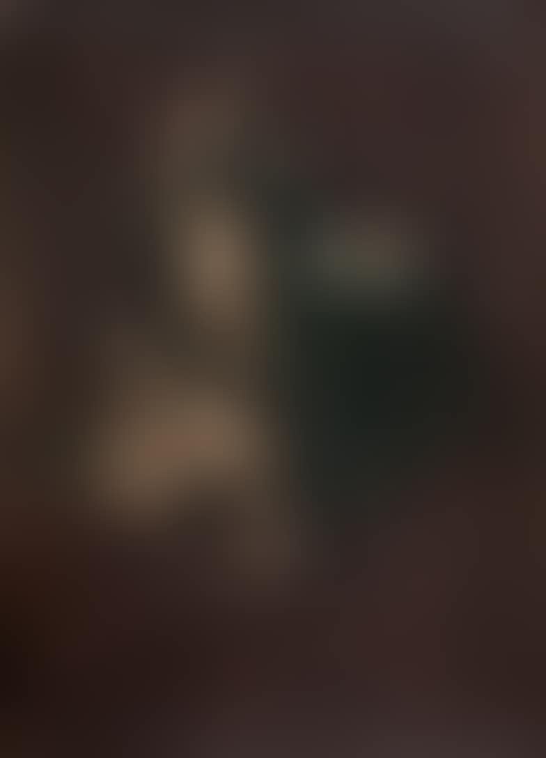 Trophy of two woodcocks (preview)