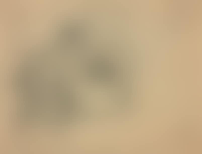Couple in a living room (preview)
