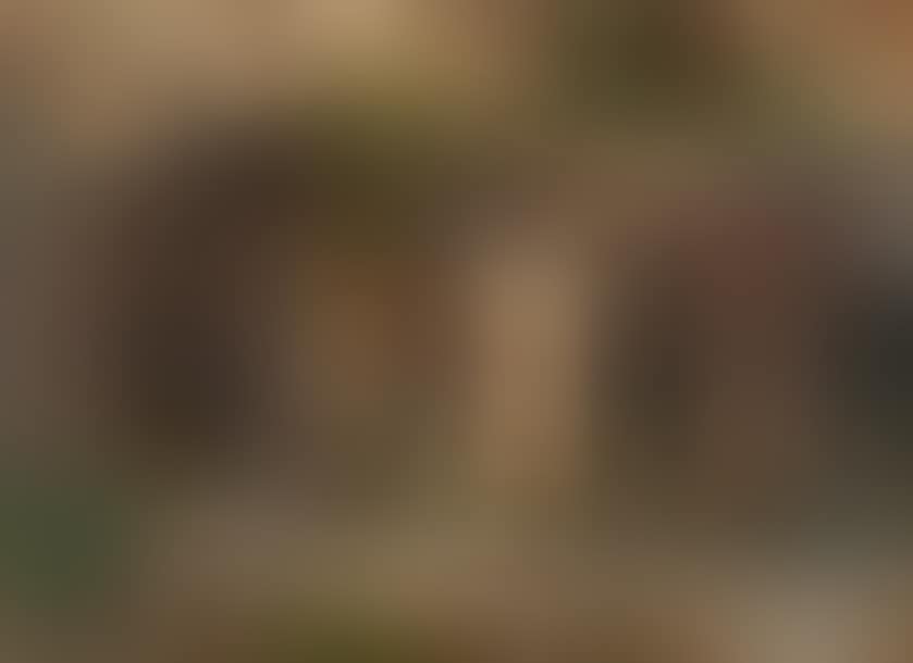 Tivoli (preview)