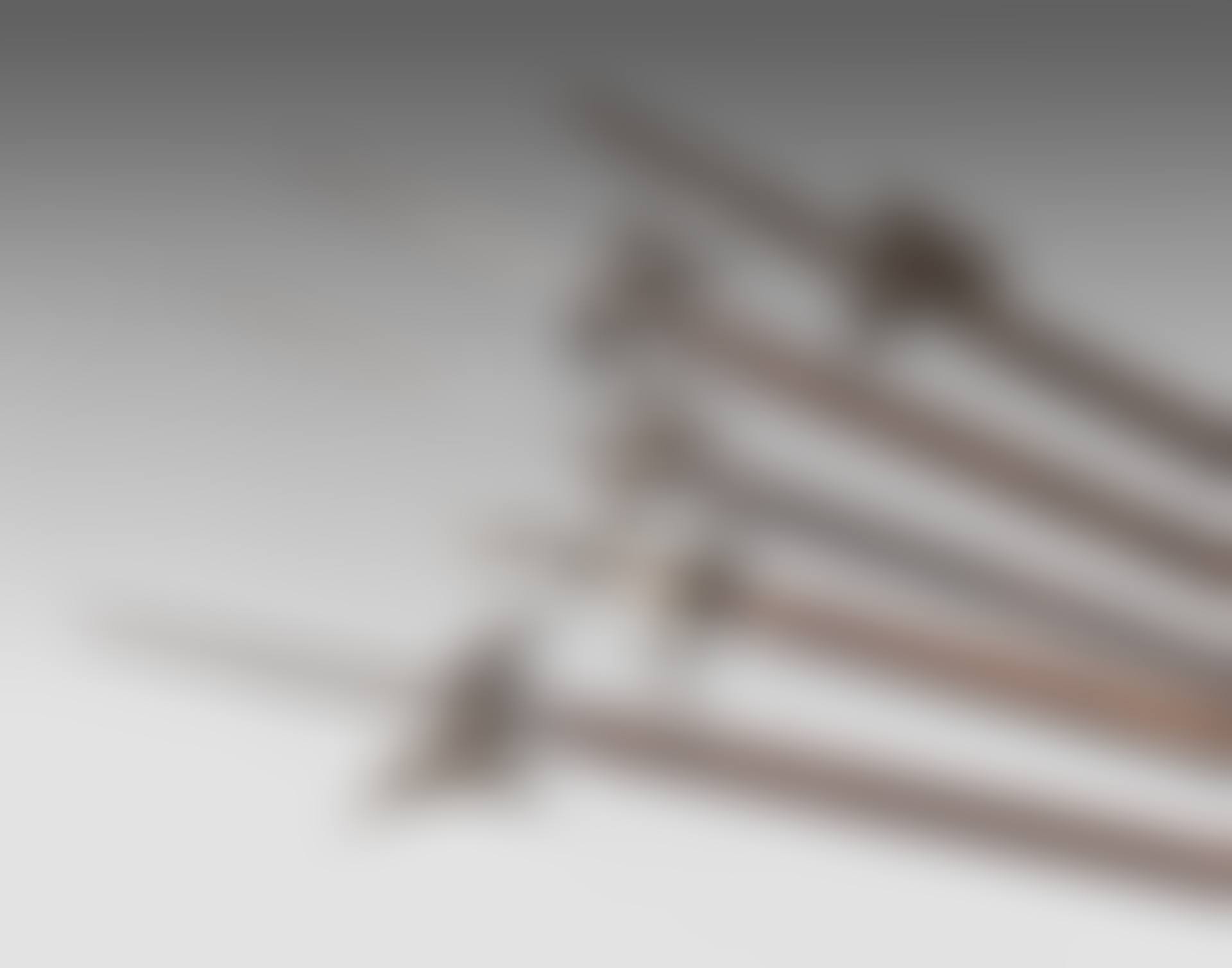 Four halberds and a pertuisan (preview)