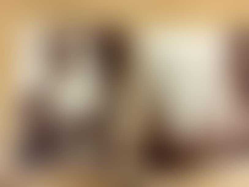 photographs (preview)