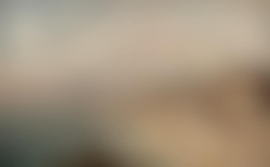 Trouville on the beach (preview)
